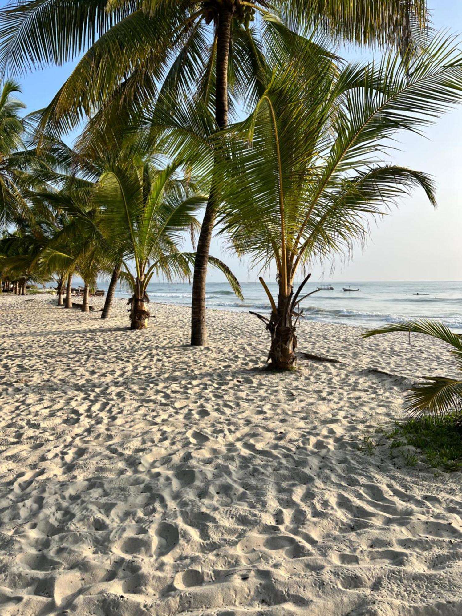 Waves And Wanderlust-Diani Beach Dış mekan fotoğraf