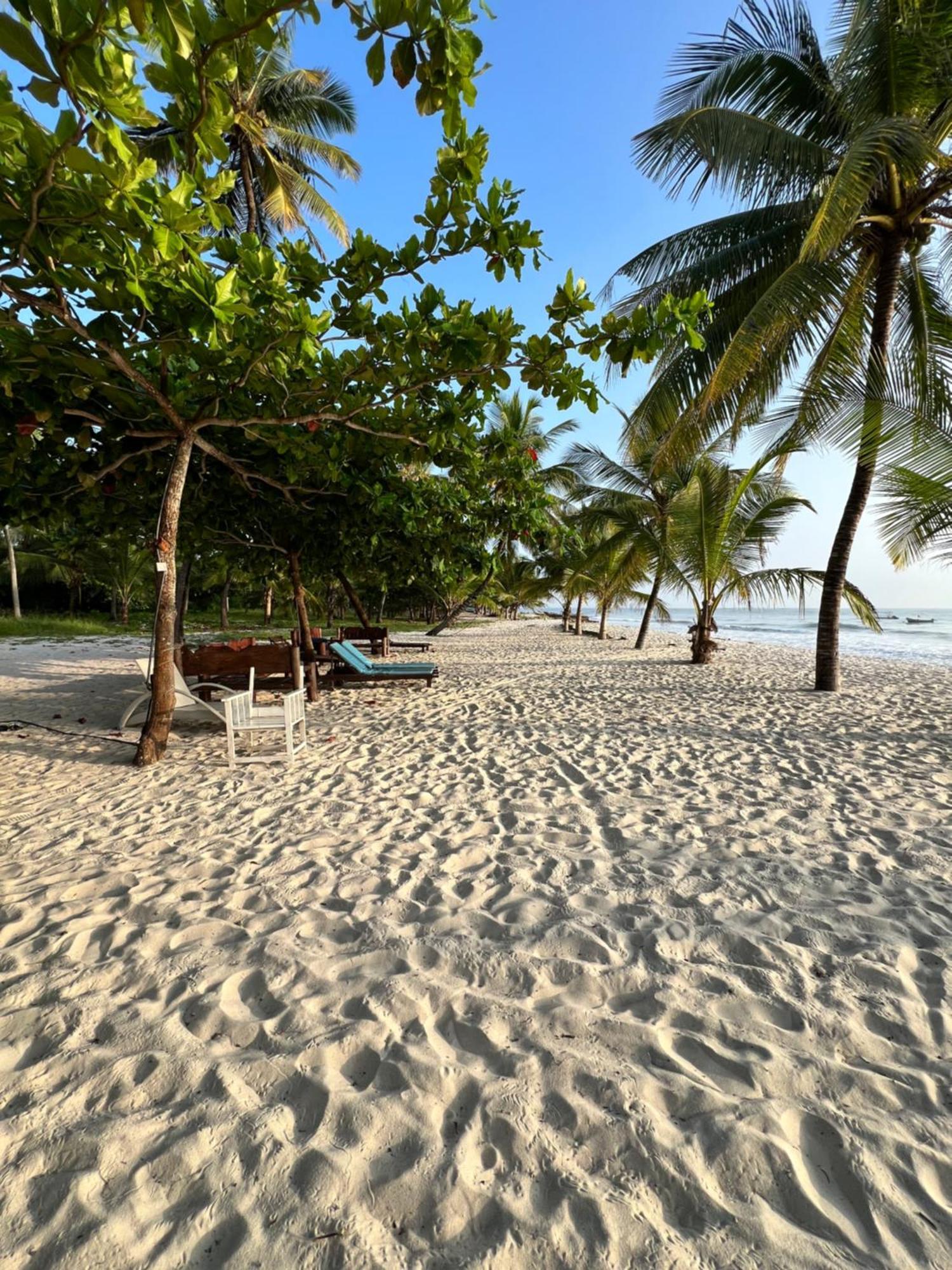 Waves And Wanderlust-Diani Beach Dış mekan fotoğraf