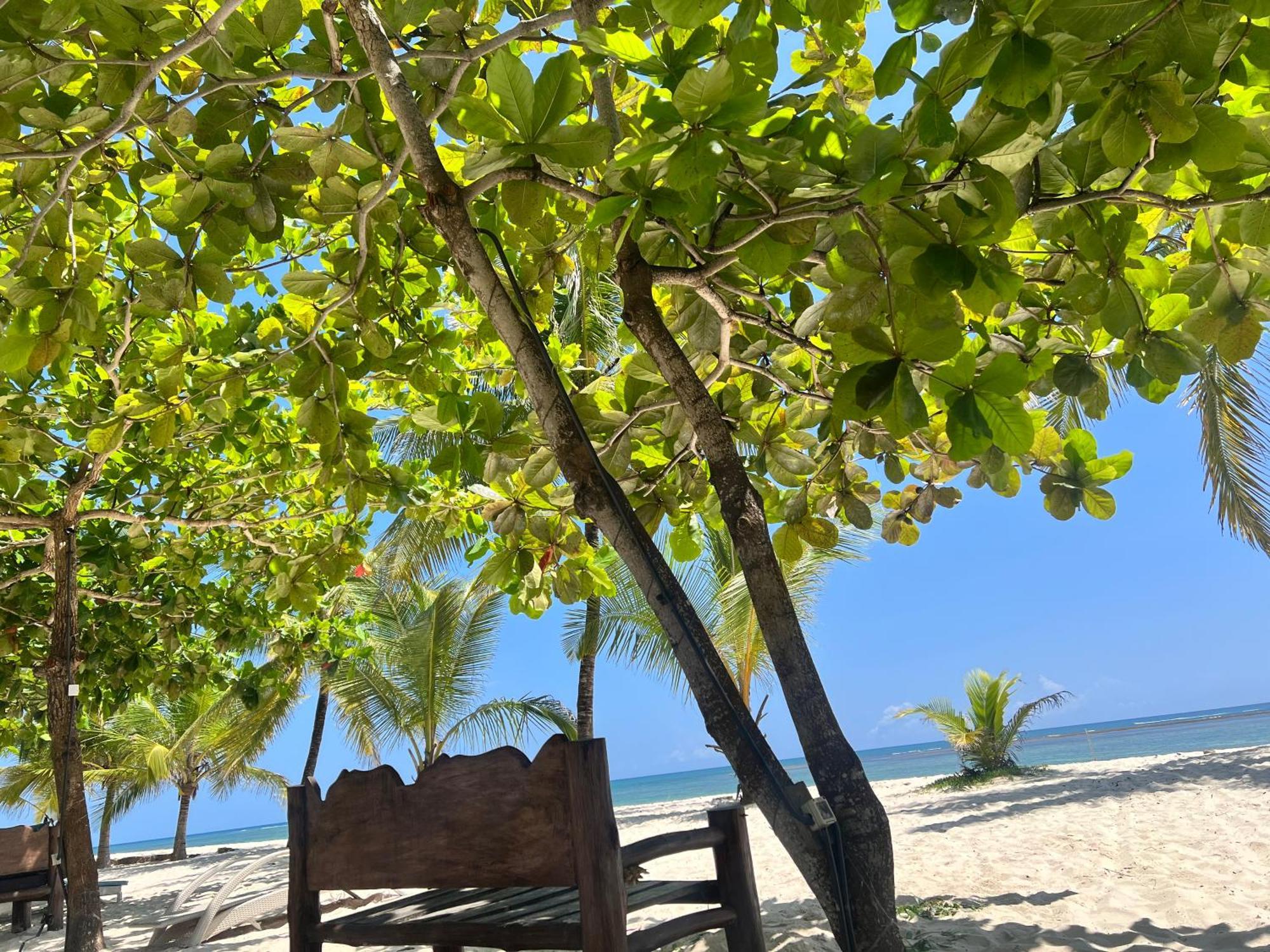 Waves And Wanderlust-Diani Beach Dış mekan fotoğraf